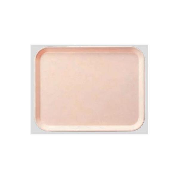  Daiwa|vX`bN|Ɩpg[|HX|H|{|FRPg[ 10_Zbg pg[@sN(445×350×H20mm)@(a)[AP-450-P]