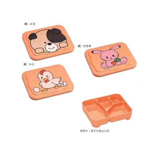 Daiwa|ٓ|ǂp|ۈ牀|H 10_Zbg j[Aj}ctٓe@CgIWE3^Cv@(170×144×H45mm)@(a)[NO-46-2]