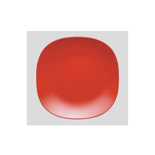  Daiwa|vX`bNH|~|M|HX 10_Zbg 26cmXNEFAv[g@ԃ}[u(265×H27mm)@(a)[SS-10-R]