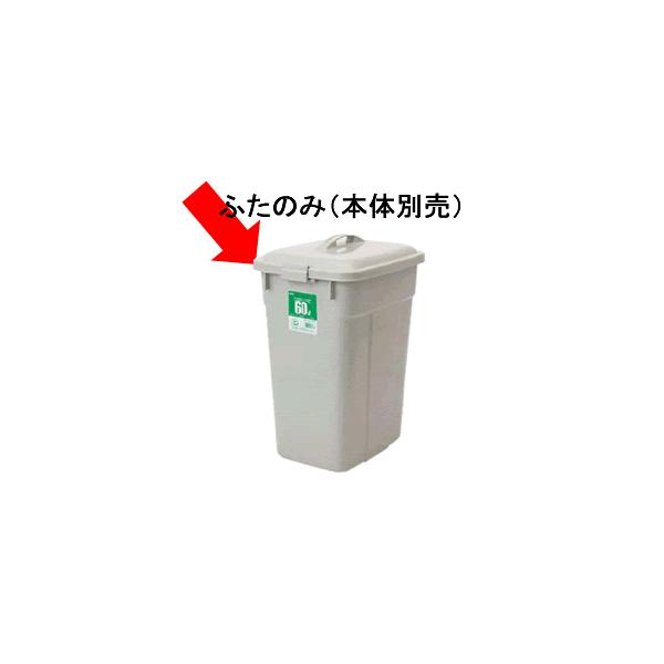 |piES~Ey[ ZLXCGR|y[p^@O[@60^pӂiӂ̂({̕ʔ)j(1-1428-0304)