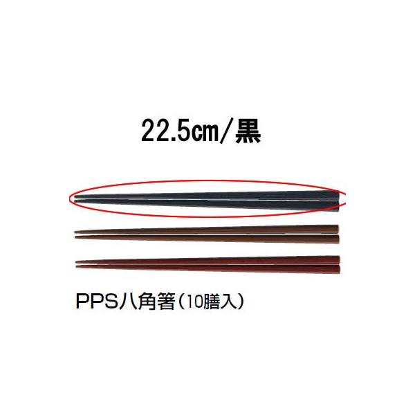  Ɩp 22.5cm PPS PPSp@(10V)@22.5cm@@XOOROQVO (1-1860-2003)