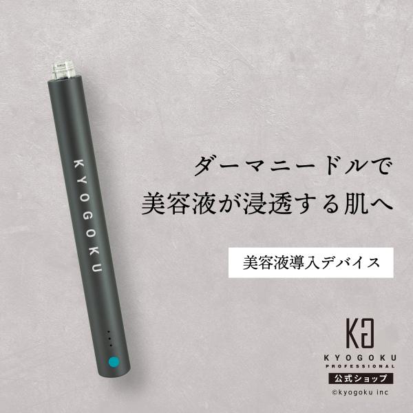 KYOGOKU PROFESSIONAL 公式 【 KYOGOKU ダーマニードル ブースト