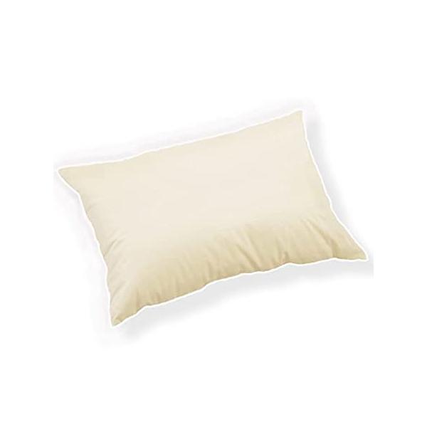 Travel Pillow with 700&amp;#xA0;Fill Power Goose Down