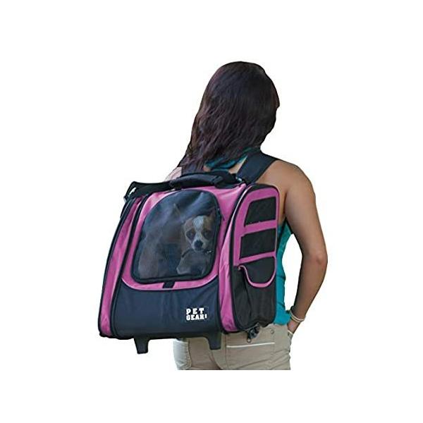 b`F Pet Gear ACS[gDgx[ sN sAi