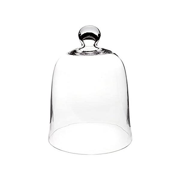 Plymor 8.5" x 11" Bell Jar Glass Display Dome Cloche (Interior Size 8.25" x