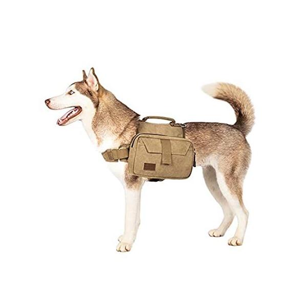 OneTigris RbgLoXhbOobO@pRpNgobNpbN@LvnCLOobNpbNiM/Lj sAi