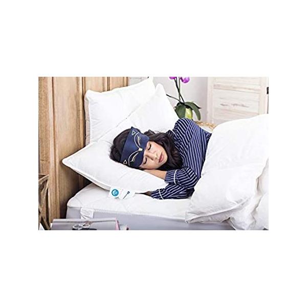 Siberian 800tBp[ zCgO[X_E | ȃx̏_炩ƍd | AAQ̕ɍœK (LO)