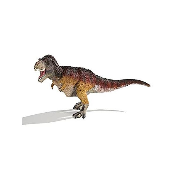 Safari Wild Safari Dinosaurs ( Ch Tt@ _Ci\[Y ) eBmTEX H 100031 sAi