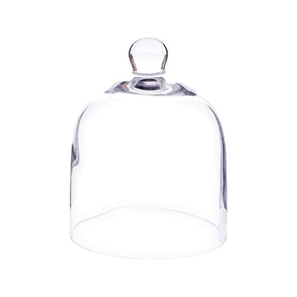 Plymor 5" x 6" Bell Jar Glass Display Dome Cloche (Interior Size 4.75" x 5"