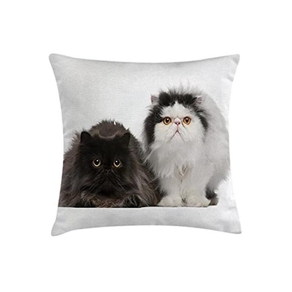 KittenX[NbVJo[by lunarableA킢yVLĂOotzCgwifW^A[g[NA`AN