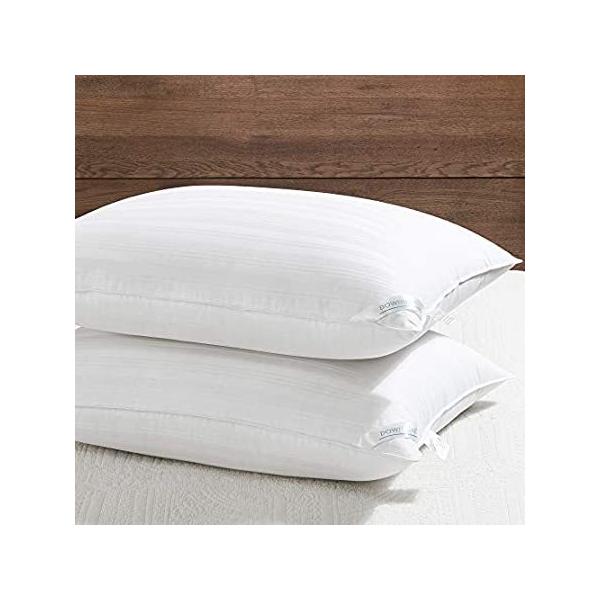 downluxe _EփLOTCY (2pbN) - 100%ʋĈRbgJo[ v~AzeRNV \tgxbh p