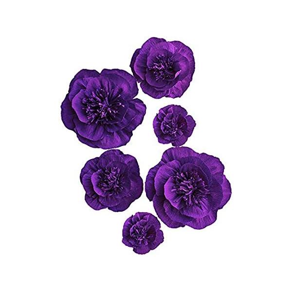 Letjolt lHy[p[t[fR[V 1΂̒a  o^Cf[ xr[V[uC_V[ q̕Ǒ (p[