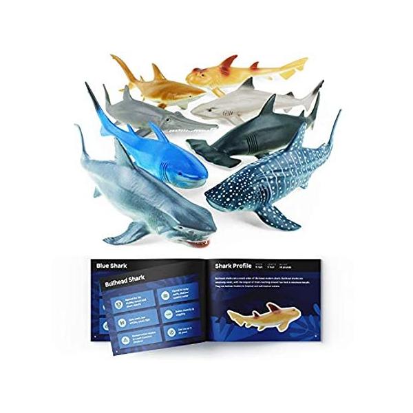 V[N 8CZbg SharktBMA- ԂȂǂɍœKI@sA sAi