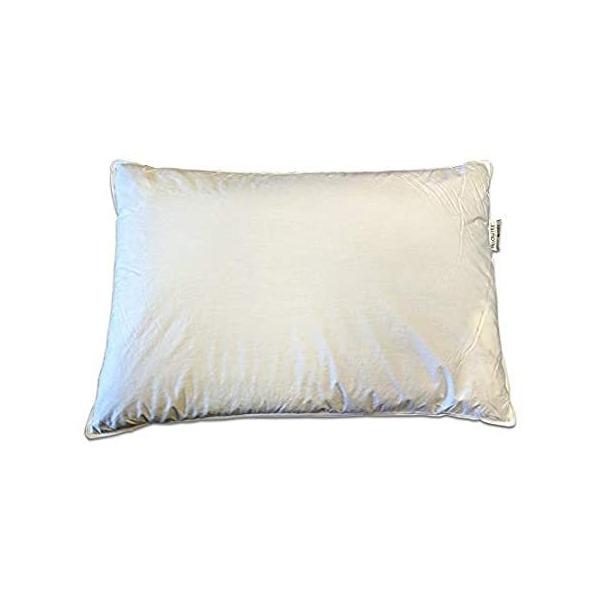 Pillowtex s n[tobNXbg n[t|GXe { Queen (20"x30")