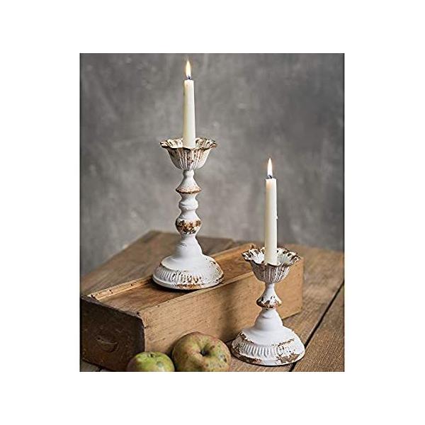 CTW Home Collection _tFj[ e[p[h Lhz_[ 2Zbg (1)