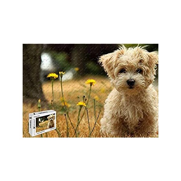 ジグソーパズル 犬 パズルの人気商品 通販 価格比較 価格 Com