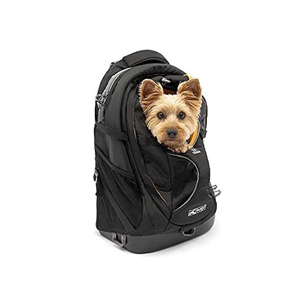 Kurgo G-Train - Dog Carrier Backpack for Small Pets - Dogs &amp; Cats - TSA Air sAi