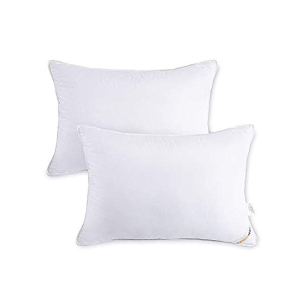 HarboRest pxbh 2pbN - vbVlHHі ƋŐQɍœK zeRNV X^_[h/NC[