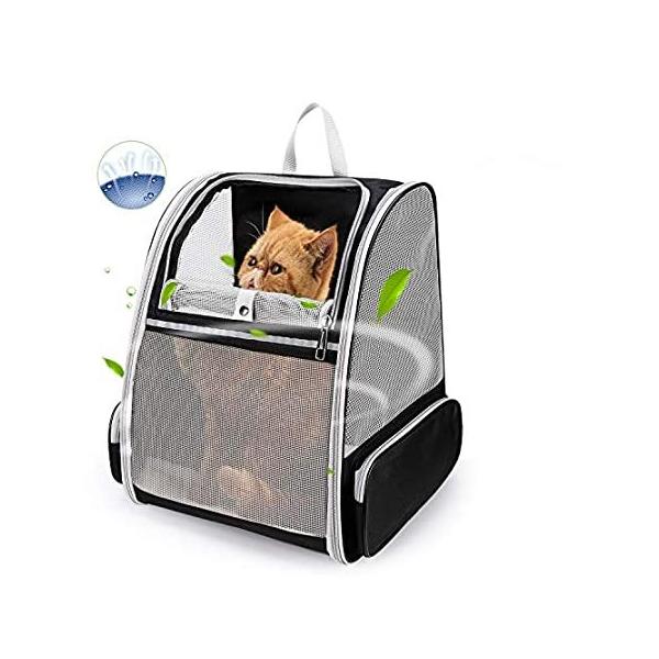 ybgL[obO bN [obO  L ybg sAi