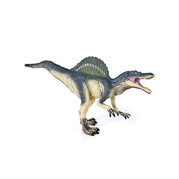 COGO MAN WVbNtBMA XsmTEX Aȋ V~[VANVtBMA f q sAi