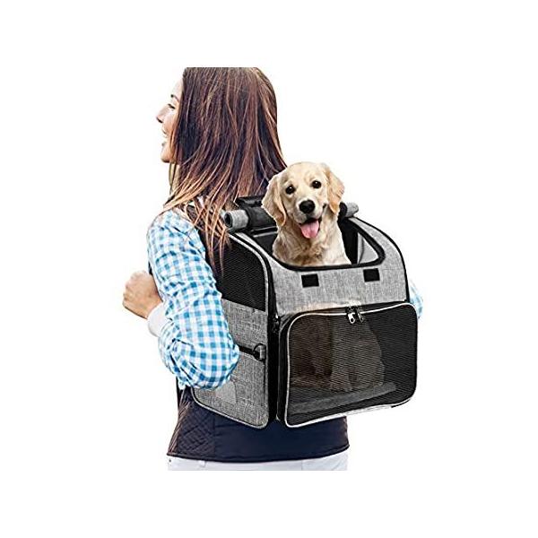 YOUTHINK ybgobNpbÑLAb^LAqpAqЏFς݁AnCLOAsALv 141msAn sAi