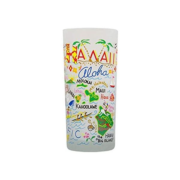 catstudio Hawaii Drinking Glass | Geography Inspired Artwork Printed on a F