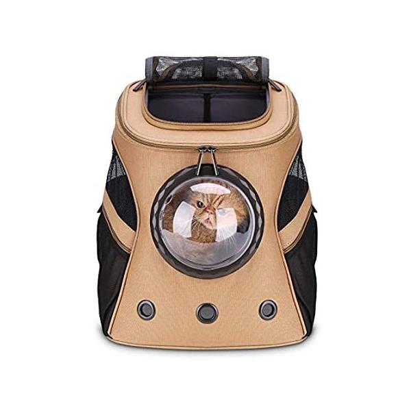 ybgL[obO L  L[obO  L bN ybg bN L [obO  LpL[bN L[obO sAi