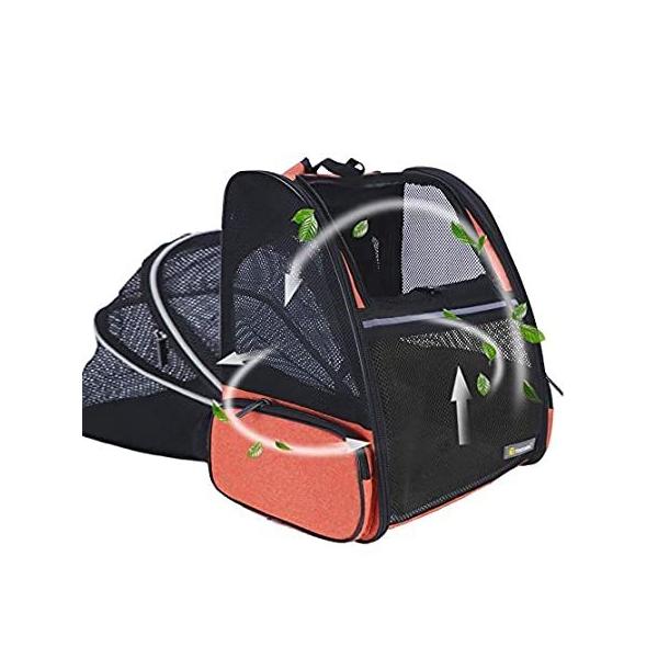 ybgL[obO L  L[obO  L (Orange) sAi