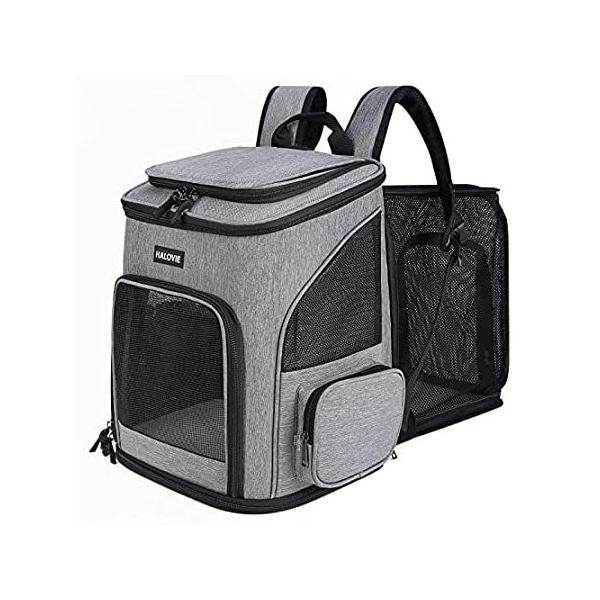 HALOViE ybg LA obNpbN g\ȏ^Lp 20 |hAbVʋC̐܂ݎybgsobO 141msAn sAi