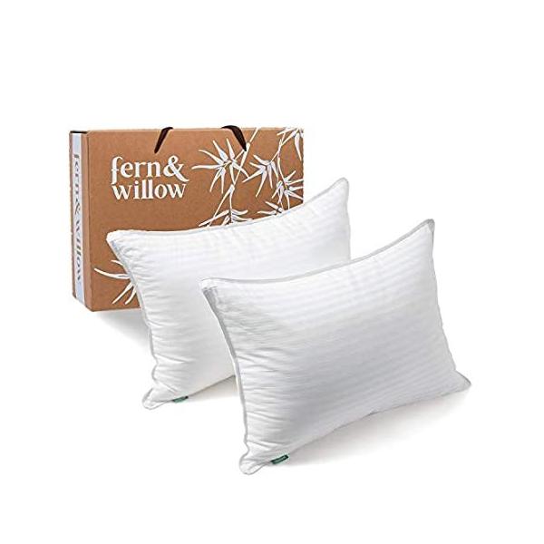 Fern and Willow(t@[EAhEEB[) p 2 v~Aȃ_E֑f zexbhZbg  pWF h