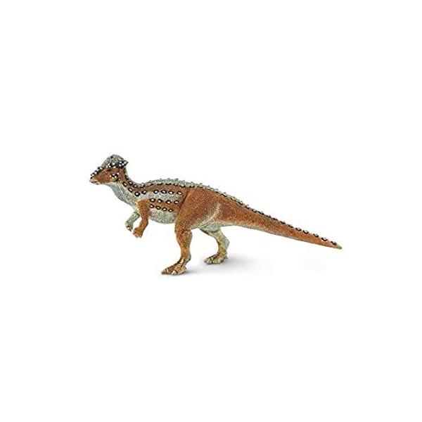 Safari Tt@ Aj}tBMA vqgbN[h pLPt@TEX 100350 sAi