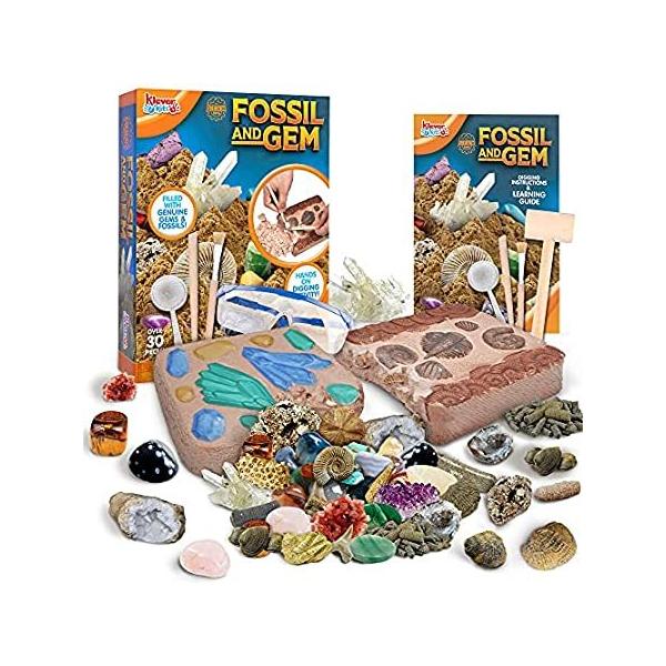 JOYIN 2Pcs Fossil and Gemstone Dig Kits with Eye Protection,12 Real Gemston ���s�A���i