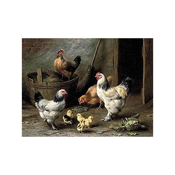 FDerks Jigsaw Puzzles 1000 Pieces Chickens for Adults, Family, Wildlife, Ed