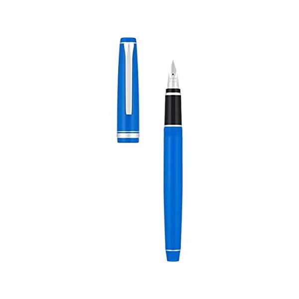 PILOT t@RRNV NM u[CN ׎ u[o (15670) sAi