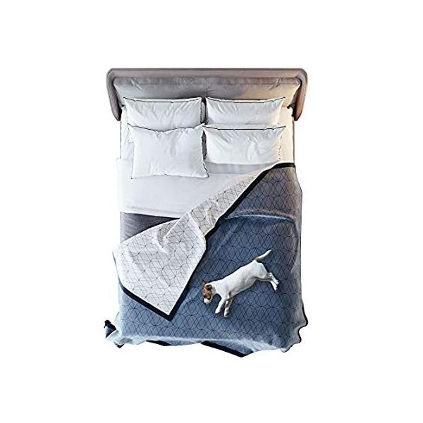 VICTORIA ORTON 100%huPbg - ^&amp;ybg̃X[ o[Vu \ -  L ybg lX -  