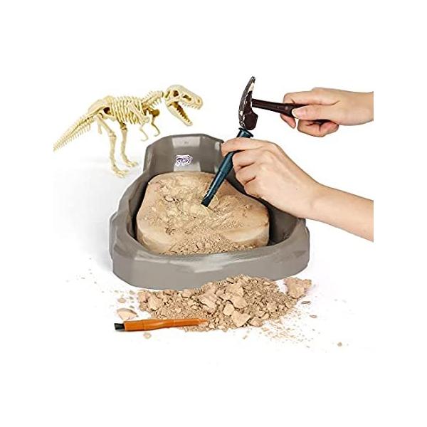 Science Can Dinosaur Dig Kit for Kids, T-Rex Dinosaur Fossil Dig Kit Dinosa ���s�A���i