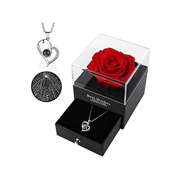 fB[X NX}XMtg vU[uhG`ebhAbh[Y  ĩo Mtg{bNX 100lbNXMtgZbg a