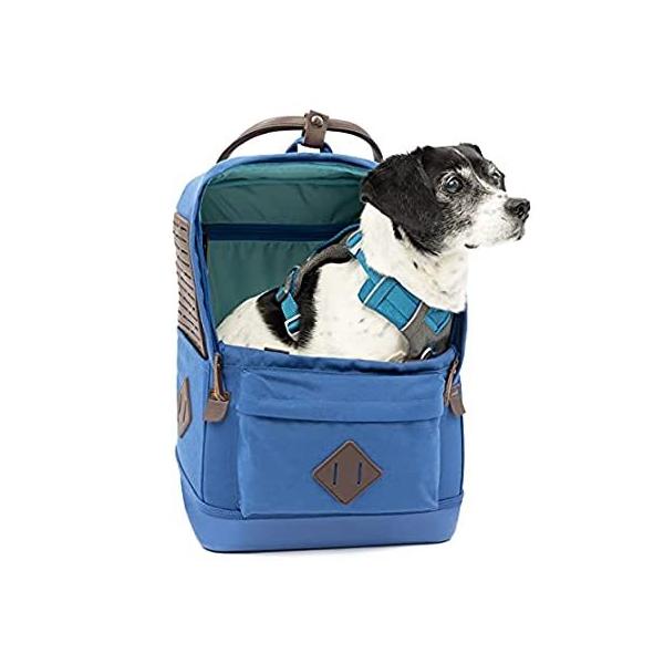 Kurgo Nomad - Dog Carrier Backpack, Hiking Backpack for Small Dogs, Pet Tra sAi