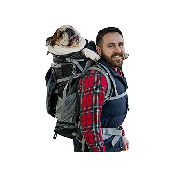 K9 Sport Sack | Rover 2 Dog Carrier Backpack for Small and Medium Pets | Fr sAi