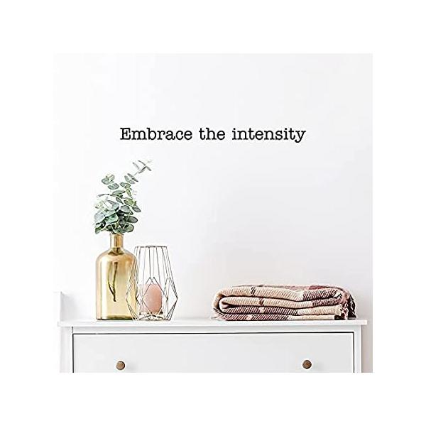 Vinyl Wall Art Decal - Embrace The Intensity - 2" x 25" - Trendy Cool Motiv