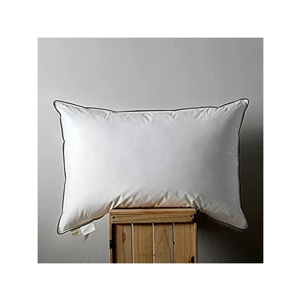 APSMILE LOTCY O[X_EtFU[xbh p - 100%I[KjbNRbg v~A\tgT|[g zeX^C h