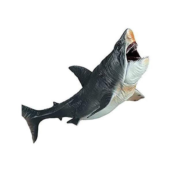 EOIVSH ^T̂ Kh vX`bN Cm T̒u AȊC̉ T̃tBMA RNVMtg Ĉ sAi