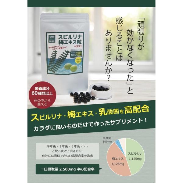 スピルリナ梅エキス粒 90日分 Buyee Buyee 日本の通販商品 オークションの代理入札 代理購入