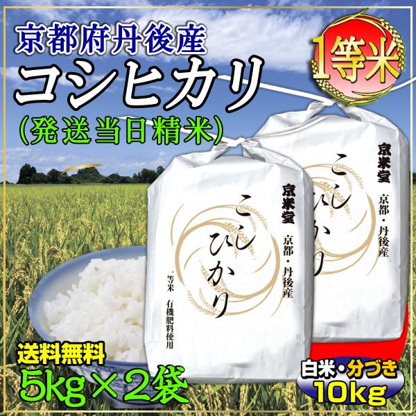 お米 10kg こしひかり 白米 分づき 京都米 丹後産 5kg×2袋 一等米 当日