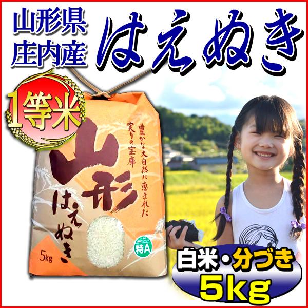 お米　一等米限定　はえぬき　5kg　追加購入ok　山形県産　山形米　コメ　精米 お米 一等米限定 はえぬき 5kg 追加購入ok 山形県産 山形米