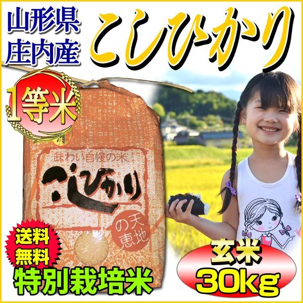 コシヒカリ お米 玄米 30kg 山形県庄内産 一等米 特別栽培米 5kg×6袋 
