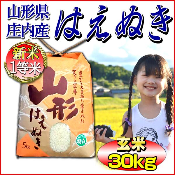 お米 はえぬき 玄米 30kg 山形県庄内産 一等米 5kg×6袋 送料無料 令和4年産