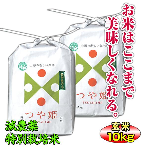 つや姫 お米 10kg 玄米 山形県 庄内産 特別栽培米 5kg×2袋 送料 つや姫 お米 10kg 玄米 山形県 庄内産 特別栽培米 5kg×2袋 送料