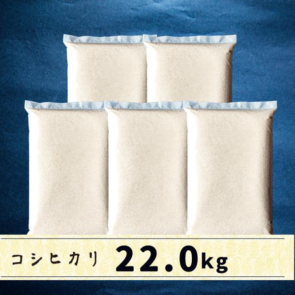 コシヒカリ 令和7年産 会津産コシヒカリ 白米 25kg（5kg×5袋）生産者 