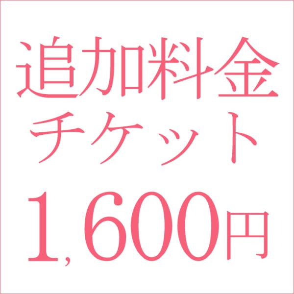 追加料金1600円